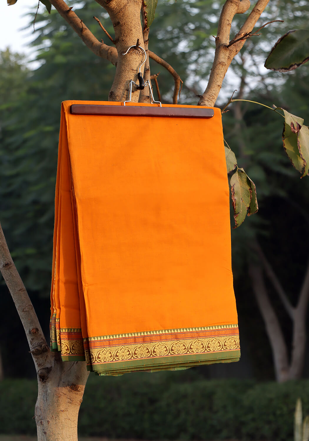 Cotton Lawn Saree - Yellow Orange