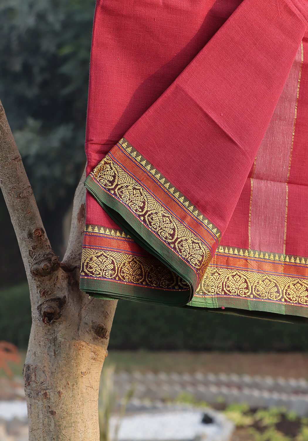 Cotton Lawn Saree - Mauve