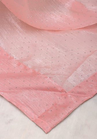 Stone Work Saree - Pastel Peach