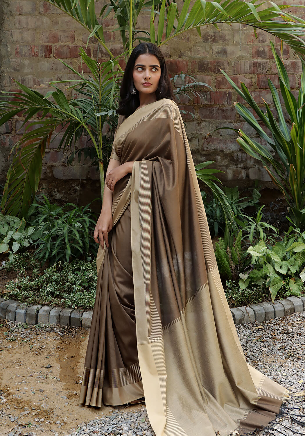 Cotton Silk Saree - Brown & Fawn