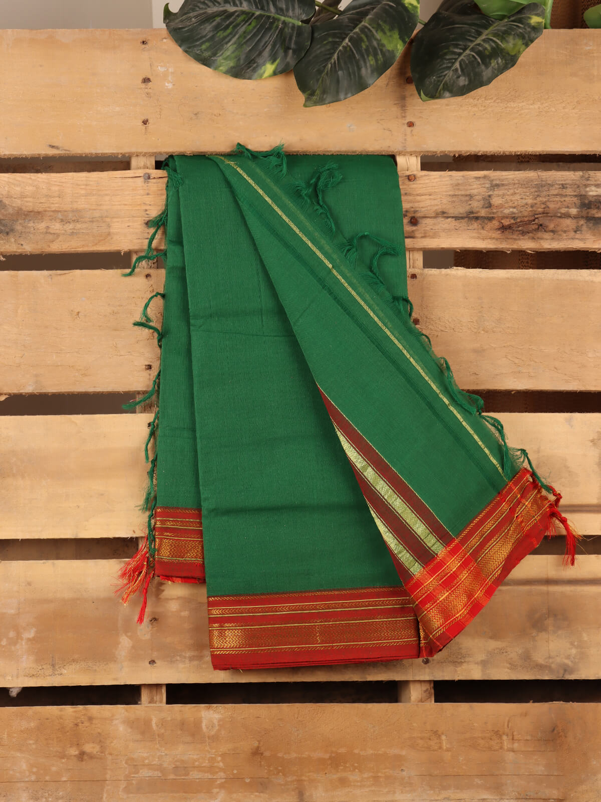 Mangalagiri Pure Cotton Saree - Indian Green