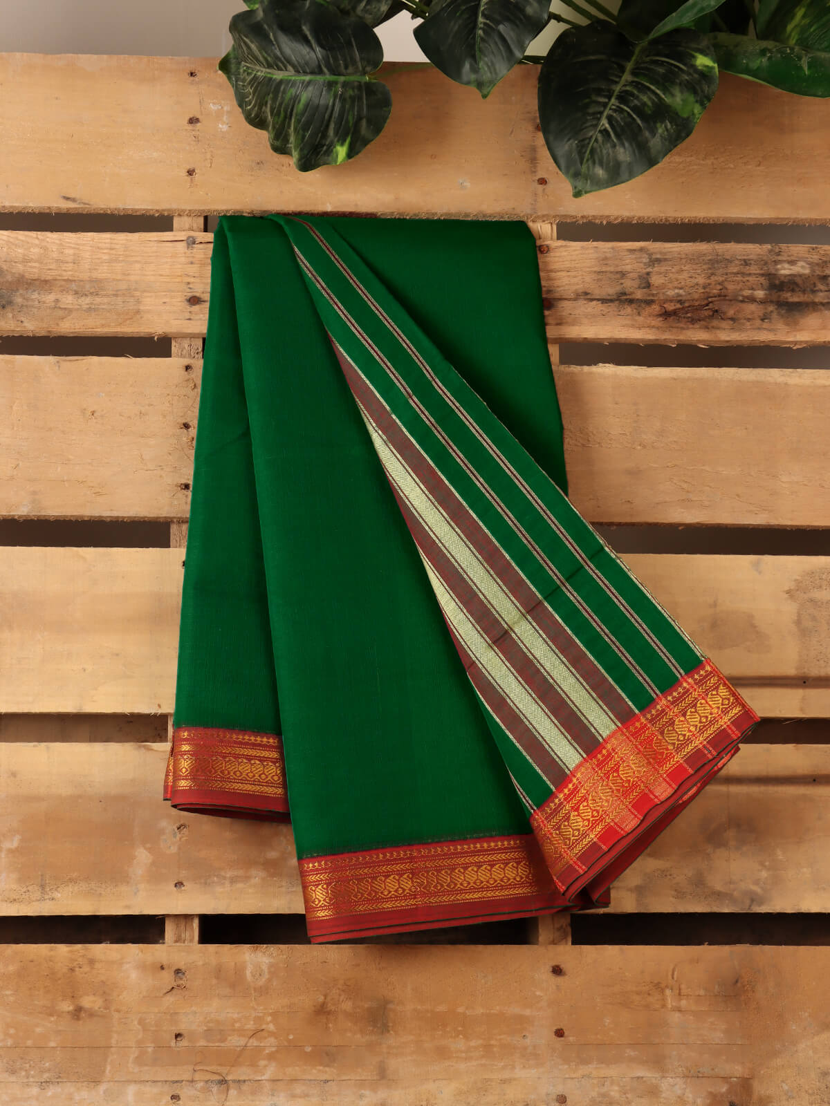Paisley Pure Cotton Saree - Indian Green